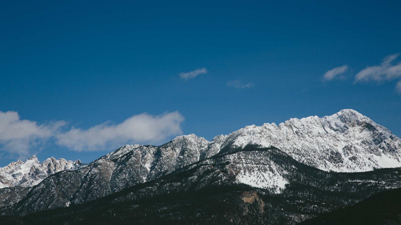 BlackRock's IBIT Posts Record $2.4B Single-Day Inflow as Bitcoin Tags $112K